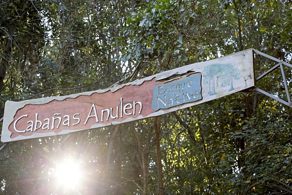 Cabañas Ensenada Bosque Nativo