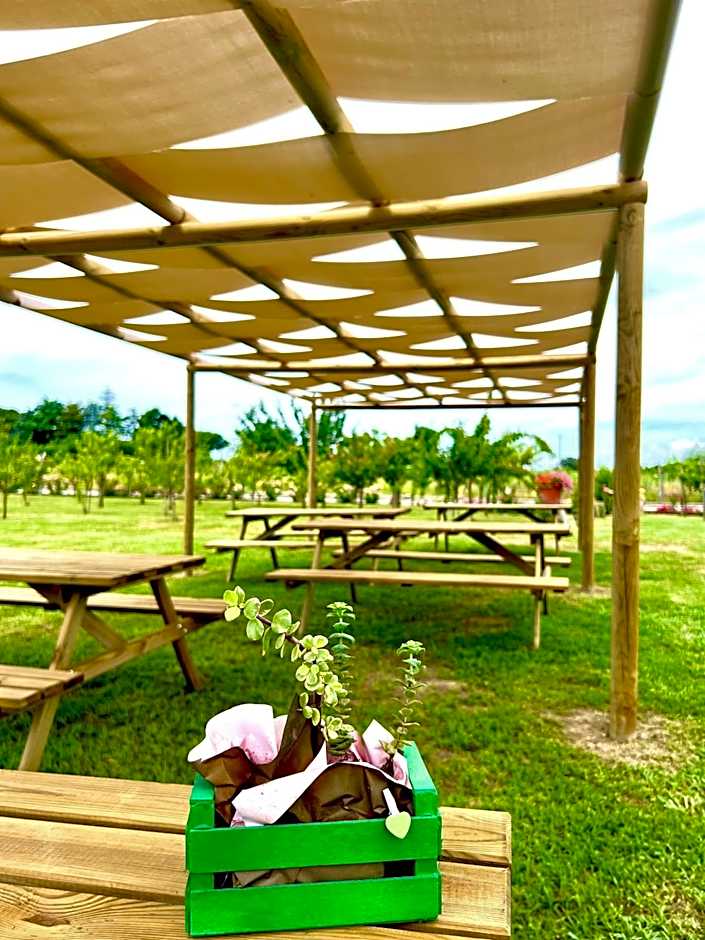 Cento Giorni B&B Costa Paestum