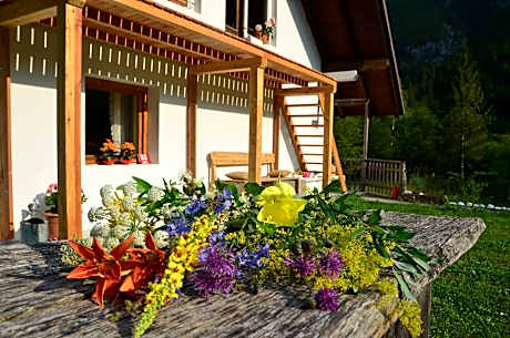 Soca Home With The View