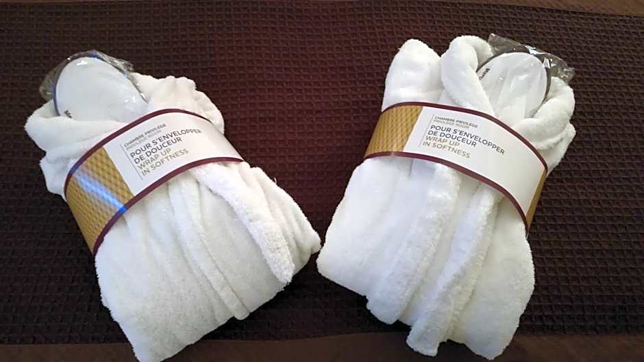 Hotel Mercure Carcassonne La Cite
