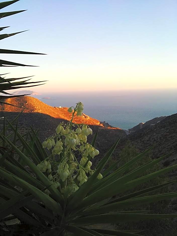 TA PLAGIA accommodation