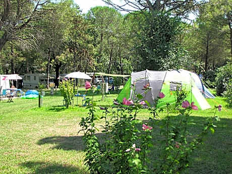 Empty lot (bring your own Tent or Caravan or Motor home)