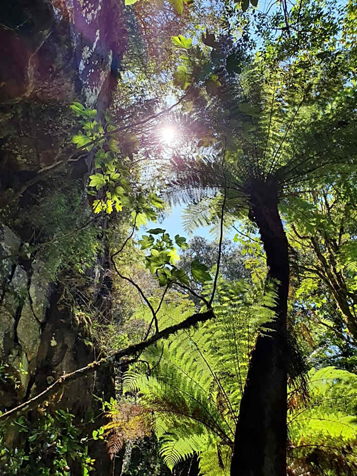 Pousada Cascata dos Amores