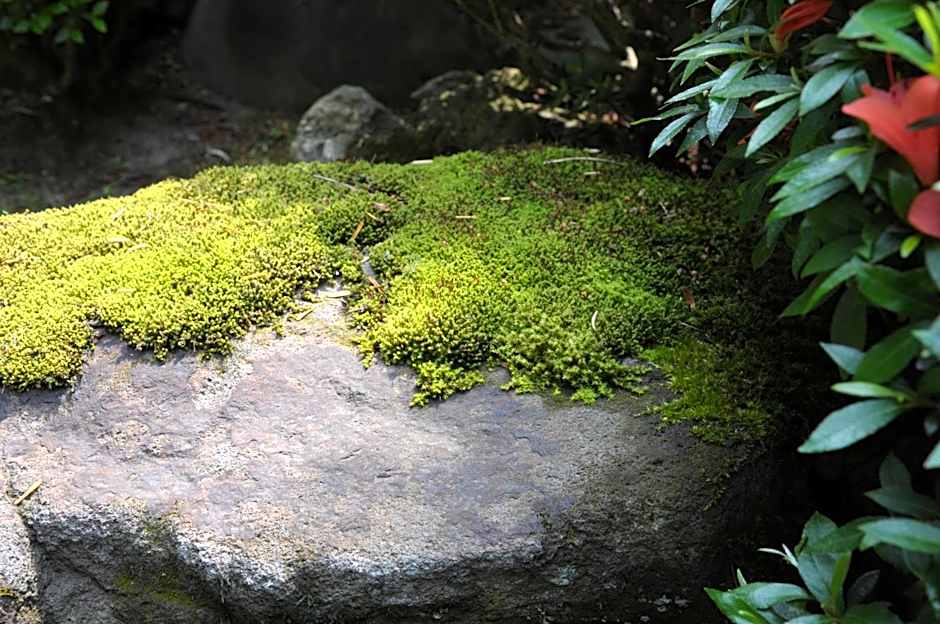 Historical Ryokan SENYUKAN