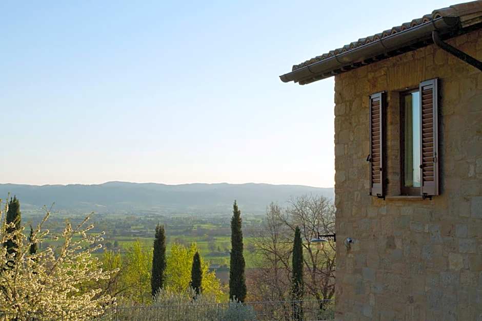 Villa Degli Ulivi