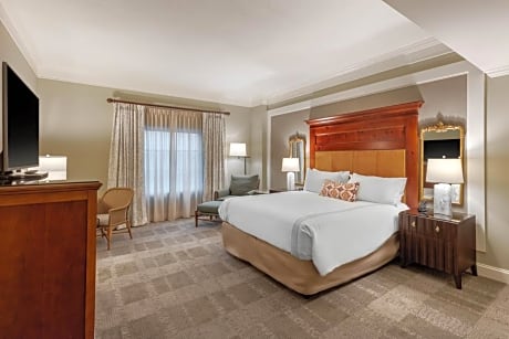 Premier Room - 1 King Bed