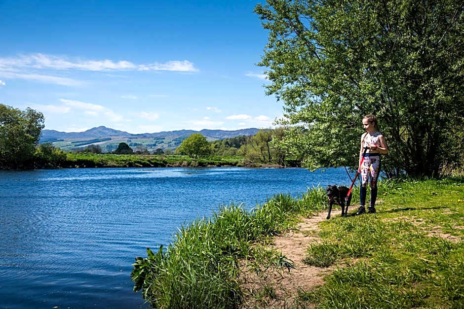 Logierait Pine Lodges