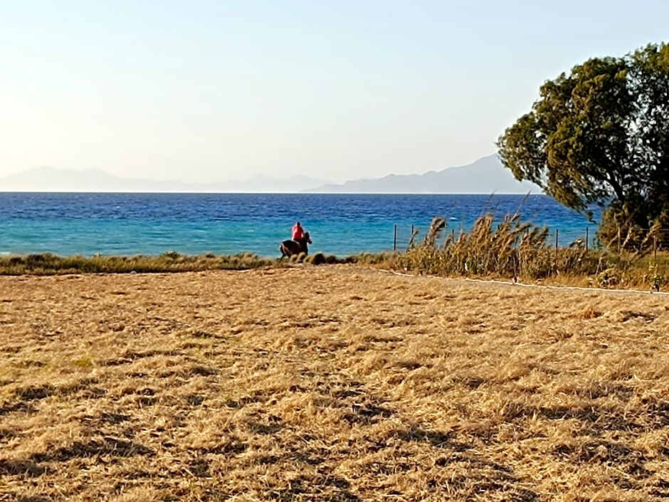 Nautilus Beach House