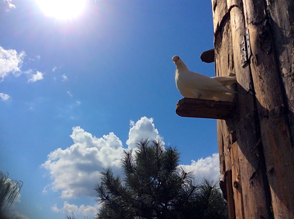 Polonezköy Country Club