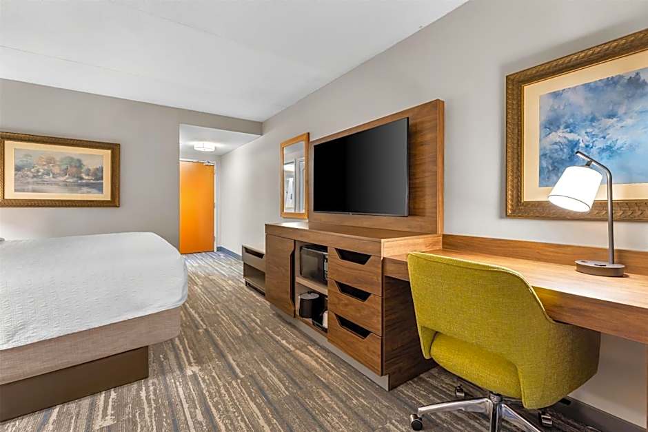 Photo 1 of 4 of 1 King Bed with Sofabed