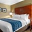 Comfort Inn Ocala Silver Springs
