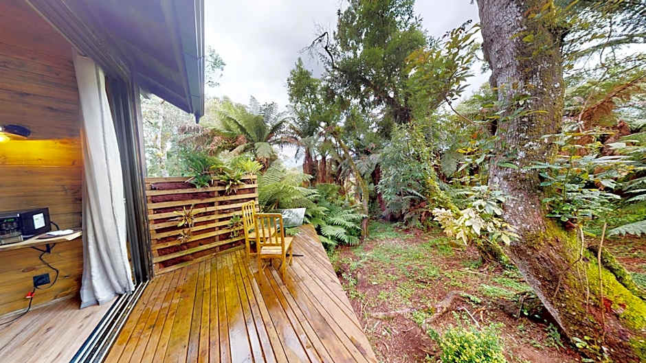 Cisne Negro Villarejo