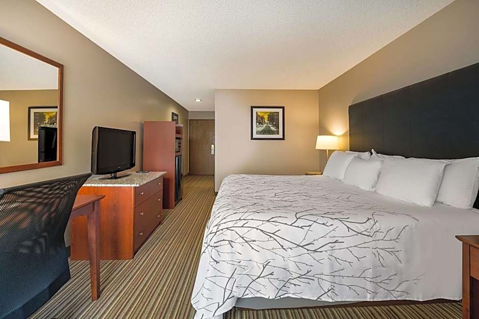 Best Western Park Oasis Inn