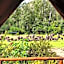 Old Mill Lodge, Seasonal Working Ostrich Farm & Restaurant, Oudtshoorn