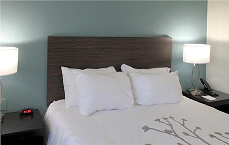 1 Queen Bed, Suite, Nonsmoking