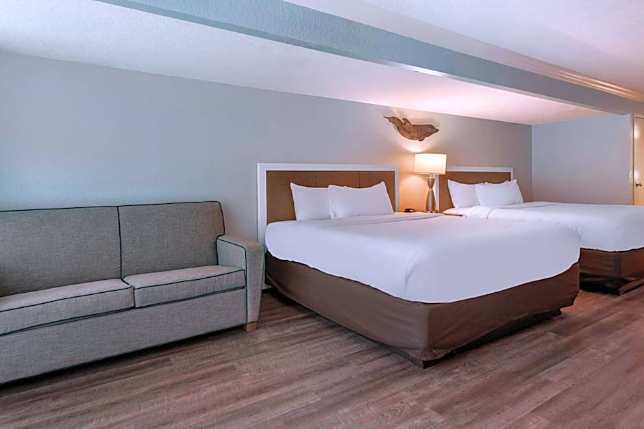 Dolphin Sands Clearwater Beach, an Ascend Collection Hotel