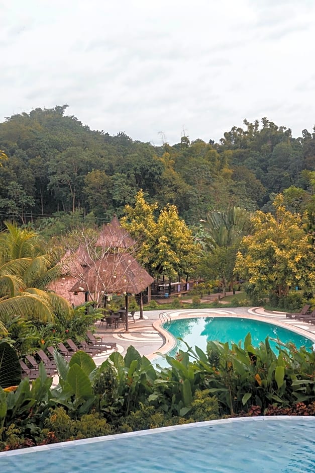 Damires Hills Tierra Verde