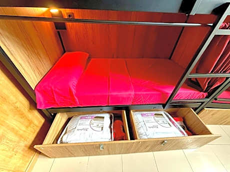 Bunk Bed in Mixed Dormitory Room