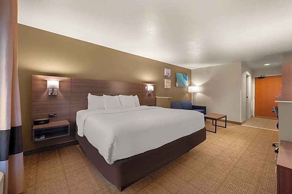 Comfort Inn & Suites In Fenton