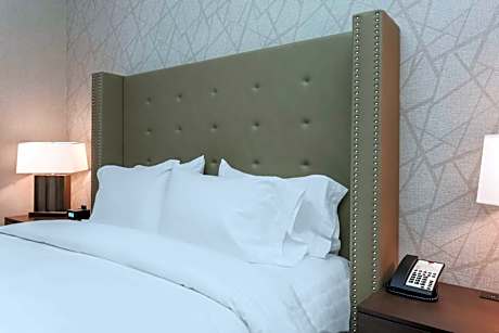 Junior King Suite with Sofa Bed