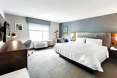 1 King Microwv/Fridge/Wet Bar Suite Ns