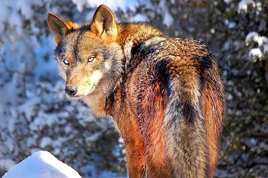 Hotel Royo Guarde-Puente Faco, junto al río Mundo