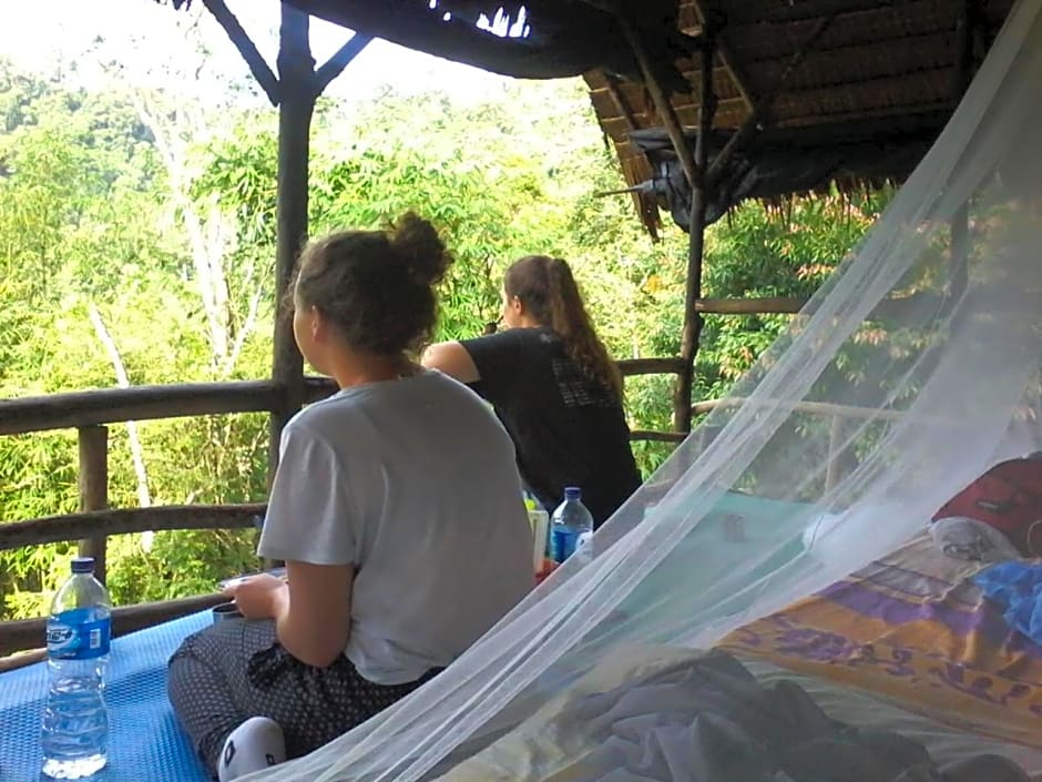 ORANGUTANTREKSUMATRA & LOVELY JUNGLE LODGE only book IF you are treking with us