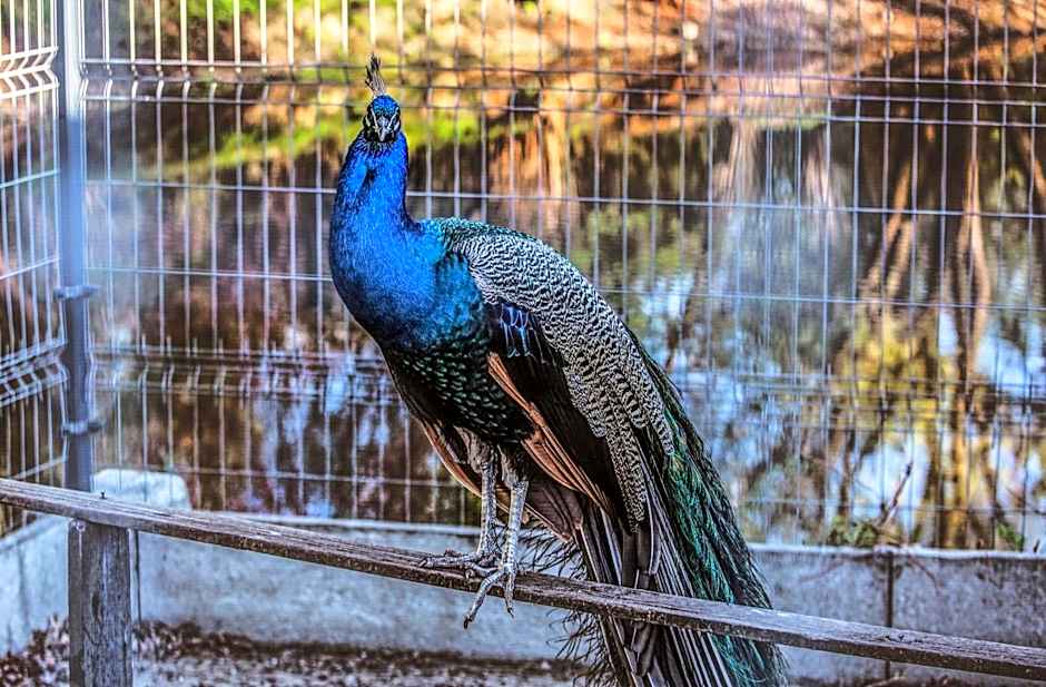 Rezydencja Luxury Hotel Bytom Piekary Śląskie