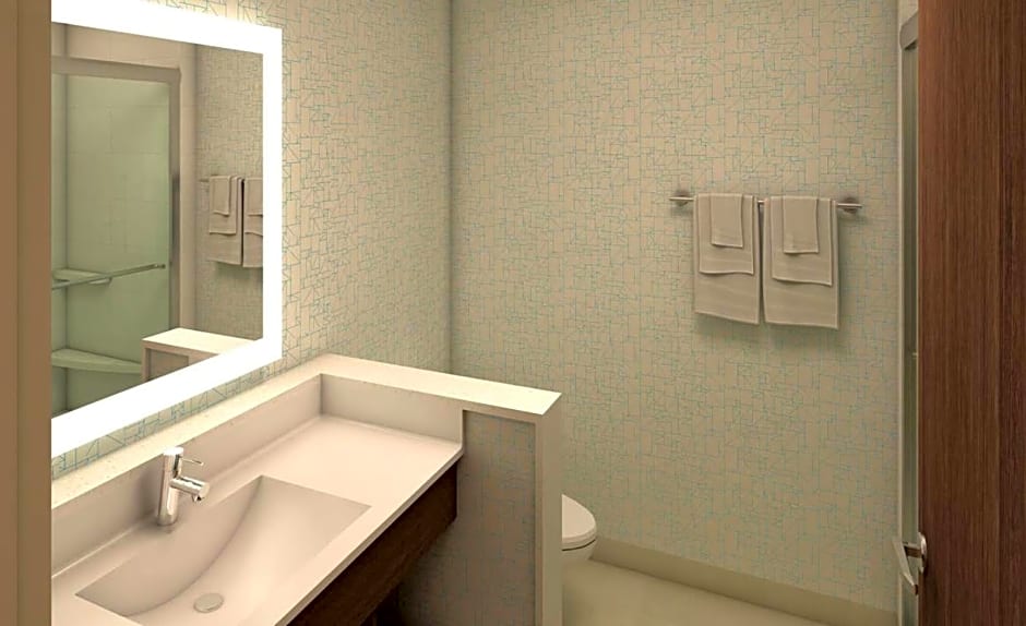 Holiday Inn Express And Suites Auburn Downtown By IHG