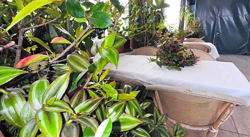 RENOVA OLD CiTY HOTEL