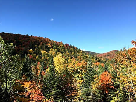 Loft Nature Laurentides