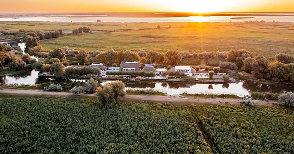 WPO - WILD PIKE OASIS