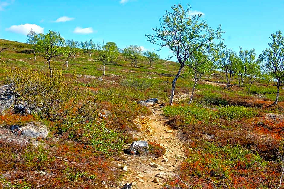 Lövåsgårdens Fjällhotell