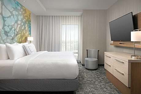 1 Bedroom Suite, 1 King, Sofa bed