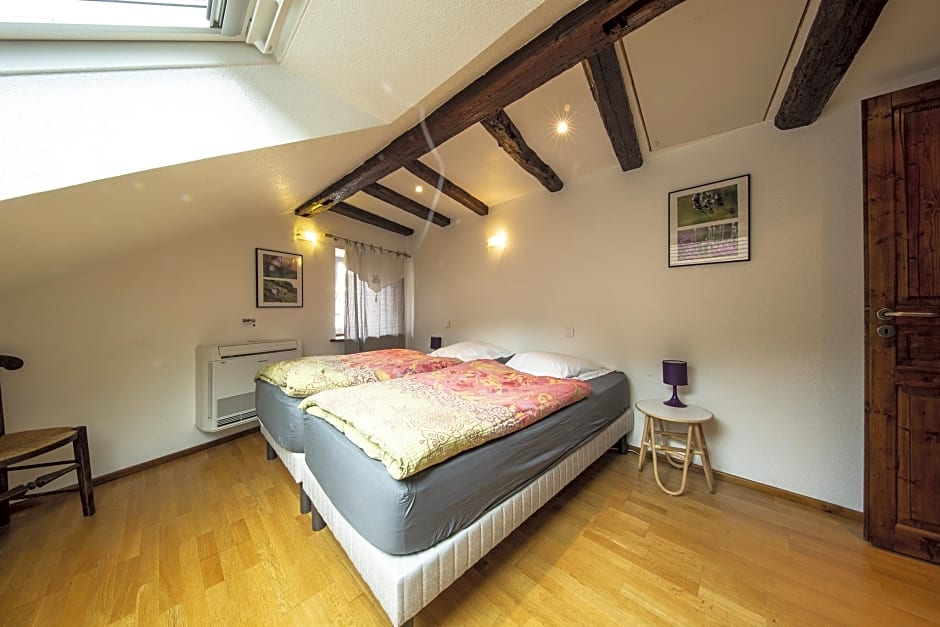 Le Domaine du Verger gîtes et SPA