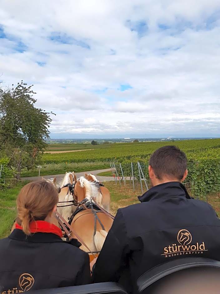 Ferienwohnung Castellberg