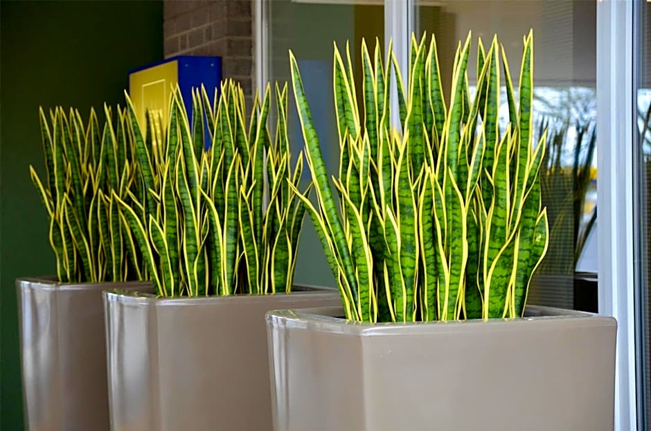 Median Hotel Hannover Messe