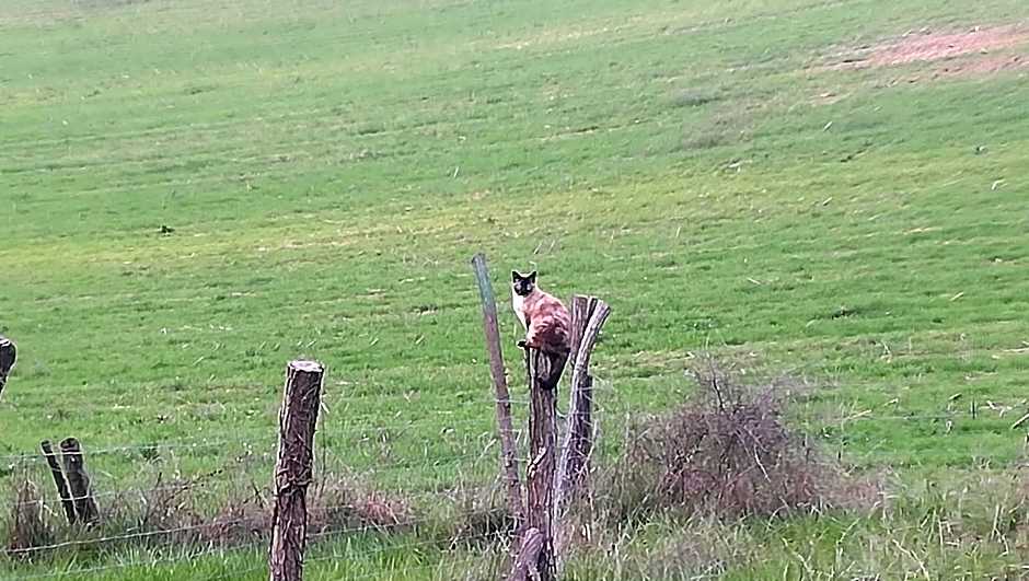 Relais de la poste ch Rose