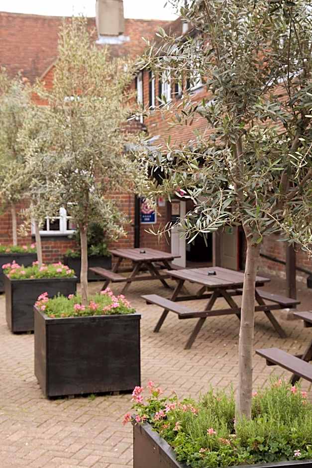 The Dog & Bear Hotel