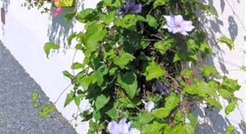 B&B Au fil des saisons sur la Wiels