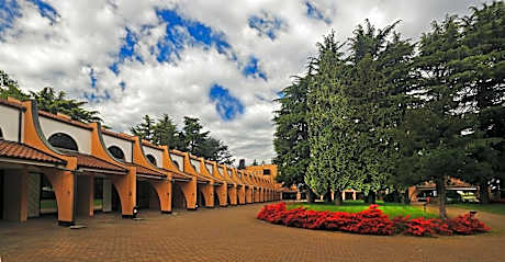 Hotel Pineta