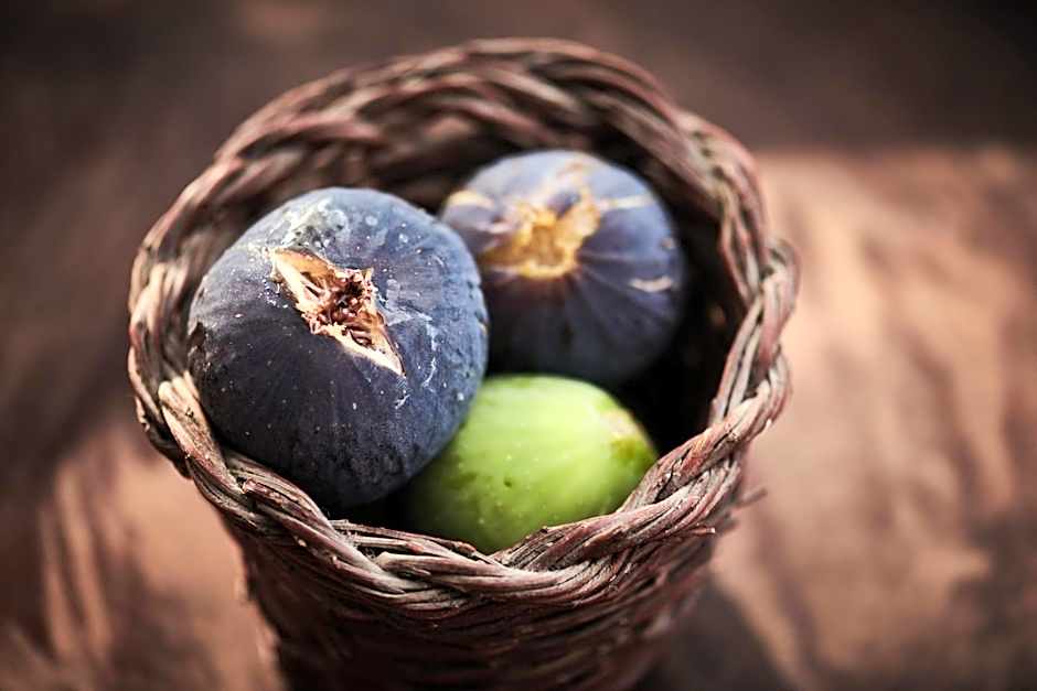 Cascioni Eco Retreat