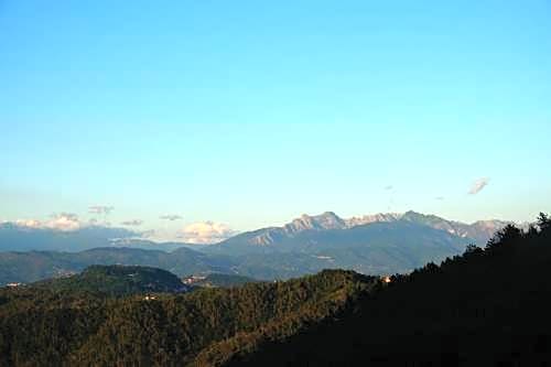 Il volto