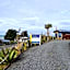 Kaka Point Spa Accommodation - Catlins