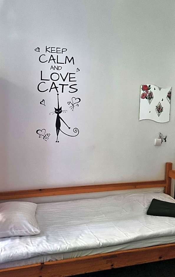 Green Cat Rooms