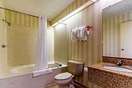 1 King Bed Suite Nonsmoking