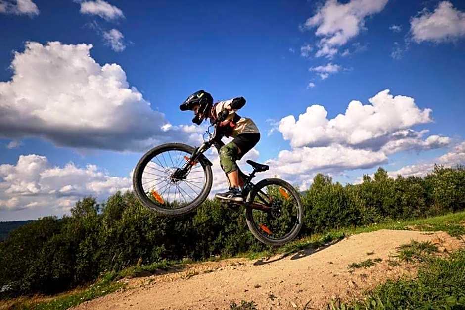 Olza Karczma i pokoje