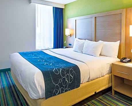 1 King Bed, Suite, Nonsmoking