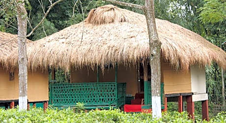 Nature Hunt Eco Camp Kaziranga