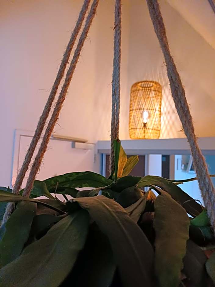 Bed & Brasserie Het Kosthuys